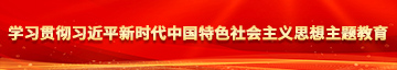 上床干骚艹b视频学习贯彻习近平新时代中国特色社会主义思想主题教育